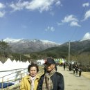 3.25일(춘분+5일) 구례 산수유 축제 부모님과 함께 이미지