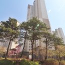 와이즈공인중개사사무소 이미지