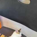성주오토삽 네이버블로그