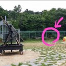 한마음청소년수련원 이미지