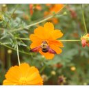 통도사(부산) 이미지