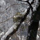 과학사랑 이미지