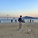 스파츄스 이미지