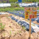 세상을바꾸는밥상