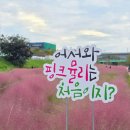 에이디카페