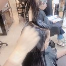 파마헤어 이미지