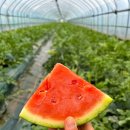 우곡농장 이미지