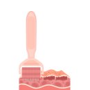 (주)비엔바이오 네이버블로그