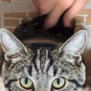 태릉마이크로의원 이미지