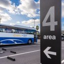 센트럴렌터카 | 달살기 #2] 돌하루팡으로 여름 성수기 제주 렌터카 완전 정리☀️ 가격, 후기, 저렴하게 예약하는 꿀팁 총정리