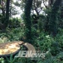 토산2리사무소 이미지