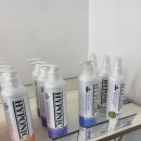 애견 미용실(도그하우스) 이미지