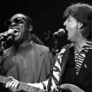 IVORY(아이보리) 이미지