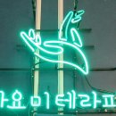 마요미테라피 이미지