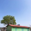 슬로우핸즈