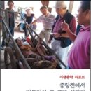 코메