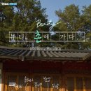 촌 티브이데일리