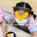 새별초교병설 이미지