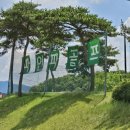 영골프클럽 | 청주 파3골프장 파인파골프클럽 리얼후기