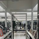 1호피티 이미지