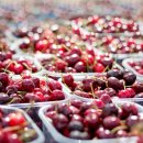 감천시장 이미지