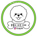 몽블리 애견카페 이미지