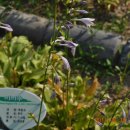 팔용산 테마공원 이미지