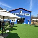 도그아일랜드 이미지