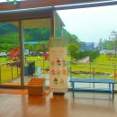 [함안 남지]내돈내산 숲필카페 솔직후기, 노키즈, 키즈 모두 즐길 수 있는 깔끔한 대형카페