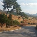 백학자유로리조트 이미지