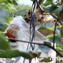 정진석농장 이미지