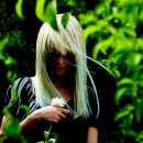 오즈헤어 이미지