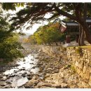 임학주유소 이미지