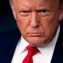 메디베드 이미지