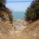 솔향기길1코스(당봉) 이미지