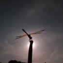 시흥시농업기술센터 이미지