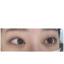 [잠실새내 네일성은] 속눈썹 영양펌 후기