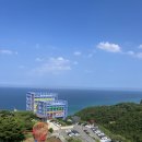 ㈜월드평화관광 | 강릉 행사 하슬라아트월드 10월 일정 전시 후기
