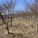 은행경로당 이미지