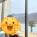 순애는 진짜 개 아름다운 거구나