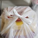 두마리스치킨&피자 | [용인] 둔전역 <두마리스 치킨피자> 솔직후기