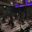 머슬라운지 이미지