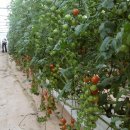 학생농장 이미지