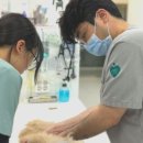 24시 당신의 동물의료센터 이미지