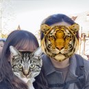 주식회사 댕아일랜드 | 25_12월 도쿄 디즈니랜드 일본 태교여행2