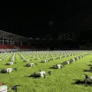 성남뮤직페스티벌 이미지