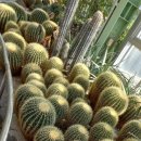 강원도립화목원 이미지