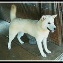 옥천한우농장 이미지