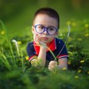 새빛안경원 이미지