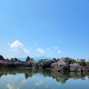 비경